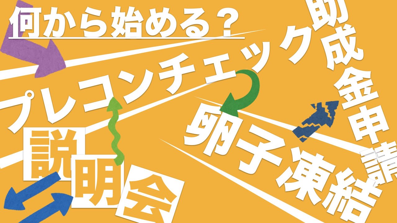 プレコンチェック、卵子凍結を東京都助成金を受けて実施する手順のアイキャッチ画像